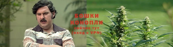 трава Алексин