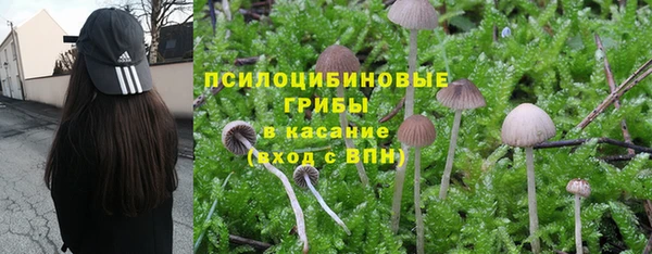 трава Алексин