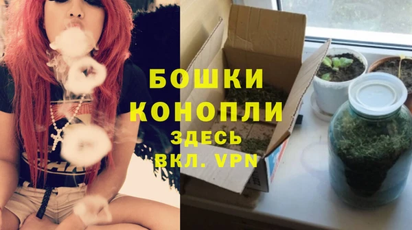 spice Алексеевка